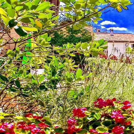 Bellasleeps 4 - 2 *