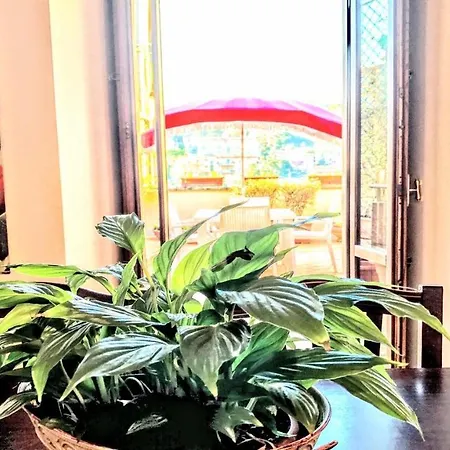 Bellasleeps 4 - 2 Spoleto